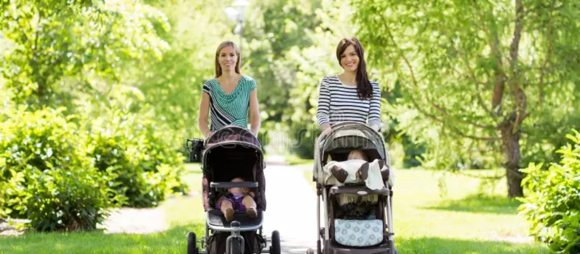 mothers with baby strollers walking in the park